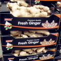 Ginger/Fresh Ginger/Air-Dried Ginger/Globalgap Certified Ginger